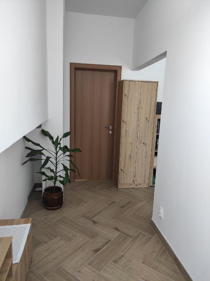 Andrea Airport Apartments Bělehrad Exteriér fotografie