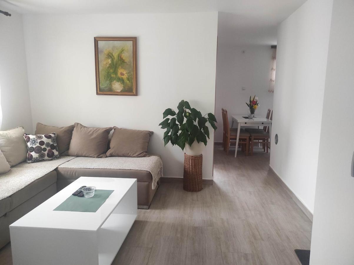Andrea Airport Apartments Bělehrad Exteriér fotografie