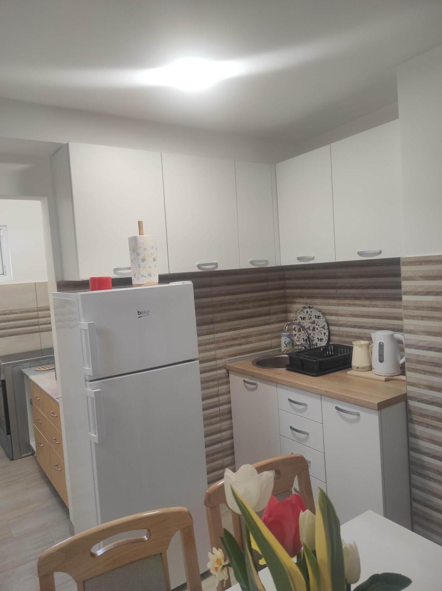 Andrea Airport Apartments Bělehrad Pokoj fotografie